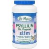Dr.Popov Psyllium Slim 120 kapsúl Dr.Popov Psyllium Slim 120 kapsúl
