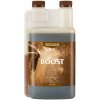 BioCanna BioBoost 1 l, urýchľovač kvitnutia BioCanna BioBoost 1 l, urýchľovač kvitnutia