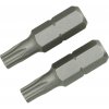 LUX-TOOLS Štandardný bit TX25 Classic, 2 ks LUX-TOOLS Štandardný bit TX25 Classic, 2 ks
