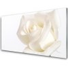 Sklenený obklad Do kuchyne Ruže kvety 100x50 cm Sklenený obklad Do kuchyne Ruže kvety 100x50 cm