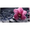 Sablio Uterák Orchidea - 50x100 cm Sablio Uterák Orchidea - 50x100 cm