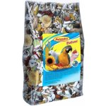 Avicentra Delux velký papoušek 500 g