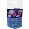Cannastra HHCPM Flower Cosmic Blackout 97 % kvalita, 1 g – 100 g 1 gram Cannastra HHCPM Flower Cosmic Blackout 97 % kvalita, 1 g – 100 g 1 gram