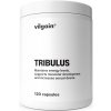 Aktin Vilgain Tribulus 120 kapsúl Aktin Vilgain Tribulus 120 kapsúl