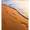 DIMEX MS-3-0193 vliesová fototapeta na zeď Stopy na pláži rozmery 225 x 250 cm