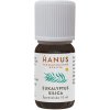 Hanus Silica eukalyptová 10 ml Hanus Silica eukalyptová 10 ml