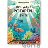 Úchvatné potápění po celém světě - Lonely Planet - kol.