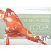 Key Muscles of Yoga: Your Guide to Functional Anatomy in Yoga (Ray Long)(Brožovaná) Key Muscles of Yoga: Your Guide to Functional Anatomy in Yoga (Ray Long)(Brožovaná)