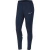 Nike Academy 21 W CV2665-451 Pants (80380) L (173cm) Nike Academy 21 W CV2665-451 Pants (80380) L (173cm)