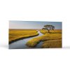 Príroda Ticho na savane | Obrazy Vintessia Rozmery panoráma: 20x40 Príroda Ticho na savane | Obrazy Vintessia Rozmery panoráma: 20x40