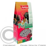 Psyllium indická rozpustná vláknina 100 g Dr.Popov