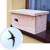 Bat-Man ParaBox Búdka pre dážďovníky borovica hnedá so strieškou plechovou AP1DF NA Bat-Man ParaBox Búdka pre dážďovníky borovica hnedá so strieškou plechovou AP1DF NA