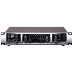 Peavey Tour 450