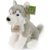 Plyšový pes Husky sediaci 23 cm Plyšový pes Husky sediaci 23 cm