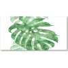 Foto obraz akrylové sklo Monstera 100x50 cm Foto obraz akrylové sklo Monstera 100x50 cm