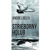 Strieborný holub - Andrej Belyj