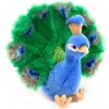 Plyš Páv 25 cm Plyš Páv 25 cm