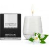 Magnetifico Aphrodisiac candle Jasmine romance vonná svíčka 200 g Magnetifico Aphrodisiac candle Jasmine romance vonná svíčka 200 g