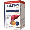 Simply You Pharmaceuticals a.s. SILYMARIN DUO - DA VINCI cps 60+30 zadarmo (90 ks) Simply You Pharmaceuticals a.s. SILYMARIN DUO - DA VINCI cps 60+30 zadarmo (90 ks)