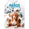 Rasco adventný kalendár pre dospelých psov 120 g
