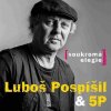 Pospíšil Luboš: Soukromá elegie - CD Pospíšil Luboš: Soukromá elegie - CD