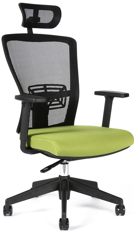 Office Pro THEMIS SP