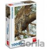 Dino Leopard škvrnitý 1000 Dino Leopard škvrnitý 1000