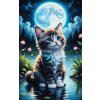 Norimpex Diamantová maľba Mačka pri rybníku 30 x 40 cm 1-39 dielov