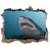 Díra 3D fototapeta nálepka Veľký žralok 95x64 cm Díra 3D fototapeta nálepka Veľký žralok 95x64 cm