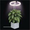 Emos Z7902, LED GROW pestovateľská lampa 8 W, časovač, stmievateľná, biela Z7902 Emos Z7902, LED GROW pestovateľská lampa 8 W, časovač, stmievateľná, biela Z7902