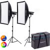 NANLITE FS-300B 2 light kit