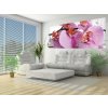 ForWall Fototapeta panoramatická vliesová Orchid 250 x 104 cm