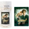 GRUPO ERIK Harry Potter: And The Chamber Of Secrets, 500 ks (PUZ50011) GRUPO ERIK Harry Potter: And The Chamber Of Secrets, 500 ks (PUZ50011)