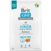 Brit Care Dog Grain-free Junior Large Breed Salmon & Potato 3 kg Brit Care Dog Grain-free Junior Large Breed Salmon & Potato 3 kg