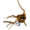 BioArt Spider Wood S 20-30 cm