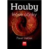 Huby a ich liečivé účinky Huby a ich liečivé účinky