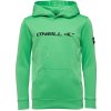 Chlapčenská mikina O'Neill, RUTILE HOODIE FLEECE svetlo zelená,čierna 176 Chlapčenská mikina O'Neill, RUTILE HOODIE FLEECE svetlo zelená,čierna 176