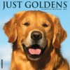Goldens 12 X 12 Wall 2026