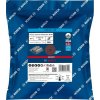 Bosch 2.608.621.789 25 ks