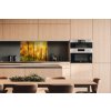 DIMEX | Dibond doska za kuchynskú linku | DBW-08060-084 Slnečný les | 80 x 60 cm + Dibond obkladová doska Dimex do kuchyne Slnečný les v rozmere 80 x 60 cm + lepidlo zadarmo DIMEX | Dibond doska za kuchynskú linku | DBW-08060-084 Slnečný les | 80 x 60 cm + Dibond obkladová doska Dimex do kuchyne Slnečný les v rozmere 80 x 60 cm + lepidlo zadarmo