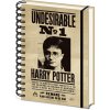 Pyramid International zápisník Harry Potter Sirius & Harry 3D A5 Pyramid International zápisník Harry Potter Sirius & Harry 3D A5
