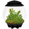 BiOrb Air Terrarium čierne 30 l BiOrb Air Terrarium čierne 30 l