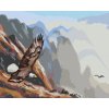 ZUTY Maľovanie podľa čísel - LETIACI OROL V HORÁCH (D. RUSTY RUST) Rámovanie: bez rámu a bez vypnutia plátna, Rozmer: 40x50 cm ZUTY Maľovanie podľa čísel - LETIACI OROL V HORÁCH (D. RUSTY RUST) Rámovanie: bez rámu a bez vypnutia plátna, Rozmer: 40x50 cm