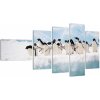 Tučniaci - obraz (Obraz 110x60cm) Tučniaci - obraz (Obraz 110x60cm)