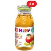 HiPP BIO Jablčno-hroznová šťava 6 x 200ml HiPP BIO Jablčno-hroznová šťava 6 x 200ml
