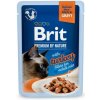 Brit Premium by Nature Cat Delicate Fillets in Gravy with Turkey 85 g Brit Premium by Nature Cat Delicate Fillets in Gravy with Turkey 85 g