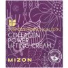 Mizon Intensive Firming Solution Collagen Power Lifting Cream Collagen Solution 75 % Contained 75 ml