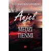 Anjel medzi tieňmi - Lucy Maud Montgomeryová