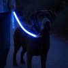 Aga LED svietiace vodítko pre psov (Bezpečné vodítko na večerné a nočné prechádzky počas jesene a zimy) Aga LED svietiace vodítko pre psov (Bezpečné vodítko na večerné a nočné prechádzky počas jesene a zimy)