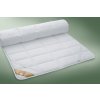 Podložka Vital Antibakteriálna 160 x 200 cm (250 g/m2) - Ložnice21. Podložka Vital Antibakteriálna 160 x 200 cm (250 g/m2) - Ložnice21.